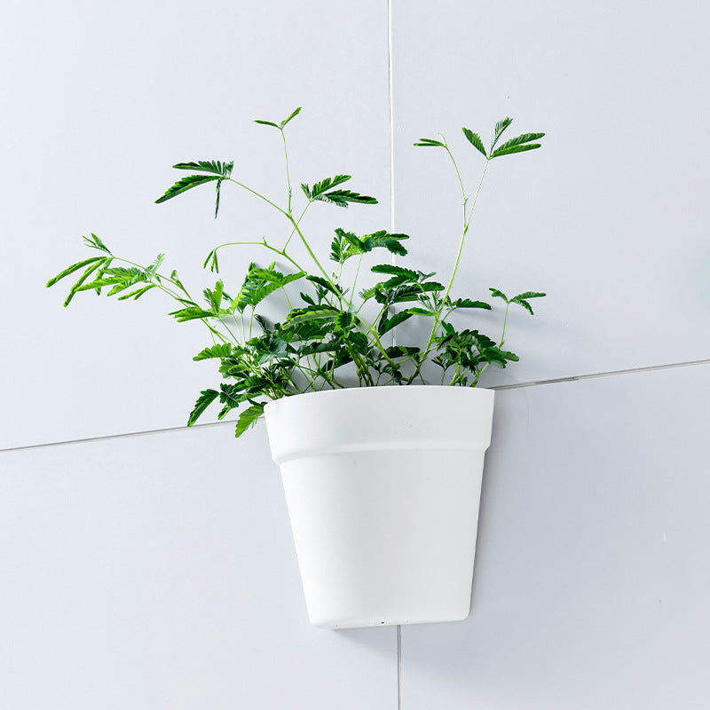 Creative Wall-mounted Hydroponic Flower Pot for Indoor Bonsai