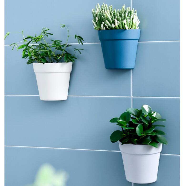 Creative Wall-mounted Hydroponic Flower Pot for Indoor Bonsai