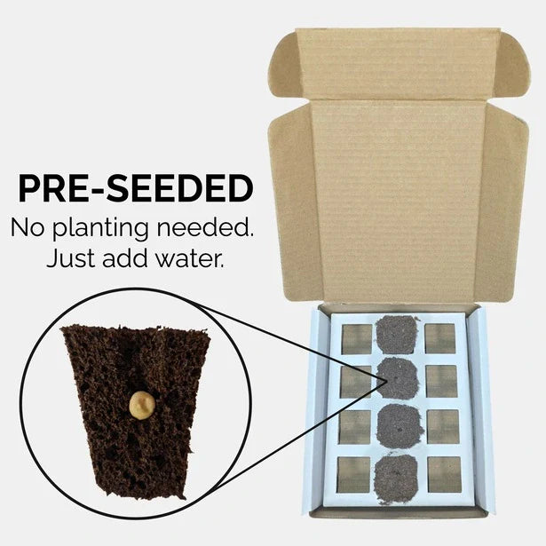Grab & Grow Pre-Seeded Starter Kit