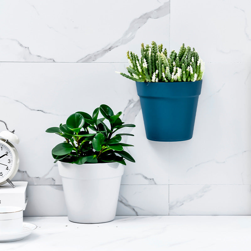 Creative Wall-mounted Hydroponic Flower Pot for Indoor Bonsai